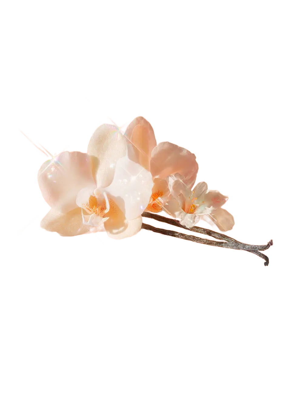 Bare Vanilla Joy Shimmer - Victoria’s Secret