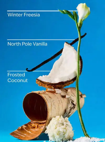 Frosted Coconut Snowball – BATH & BODY WORKS