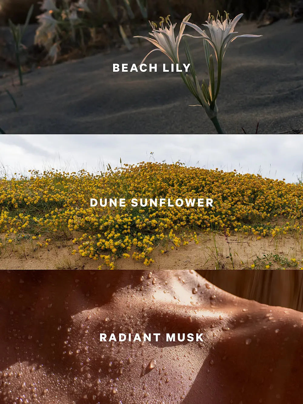 Sundrenched Blooms ķermeņa sprejs - Victoria’s Secret Victoria's Secret
