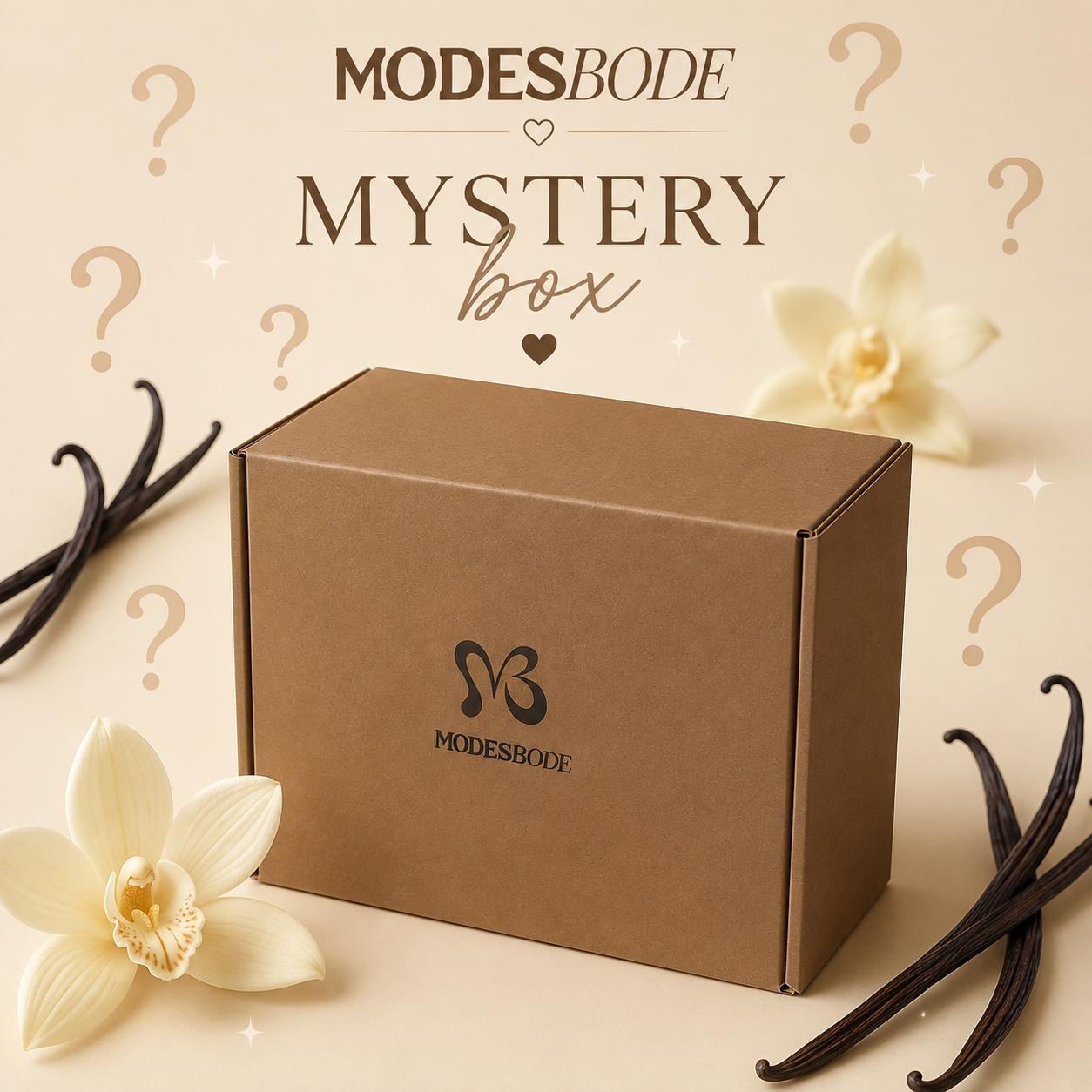 SURPRISE BOX