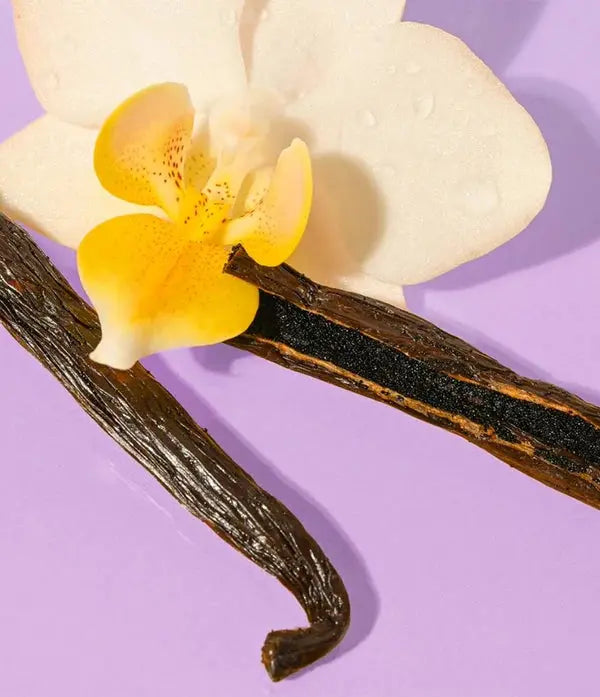 Vanilla Bean lūpu balzams – eos
